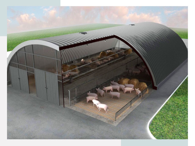 Проектирование свинарников и хозяйственных комплексов в Новосибирске